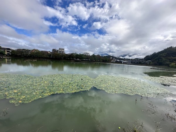 東勢林業文化園區2703611