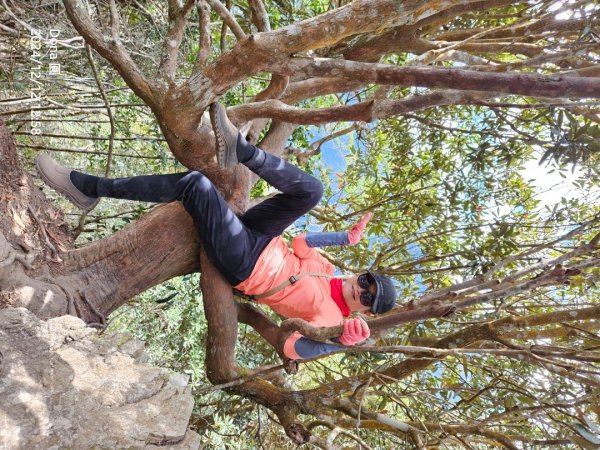 【谷關七雄】波津加(H1771.6m)肉腳配速成功2670485