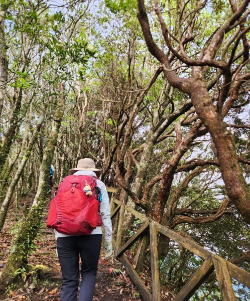 【中級山縱走】魯壁山，東穗山，大島田山，宇老觀景台2771720