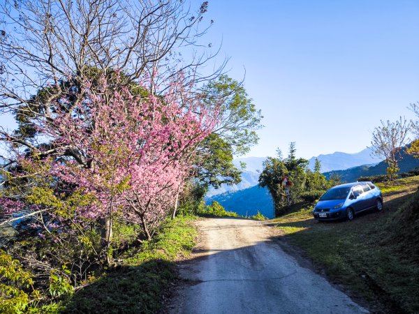 2025-02-16 巴蜈縱走2714313