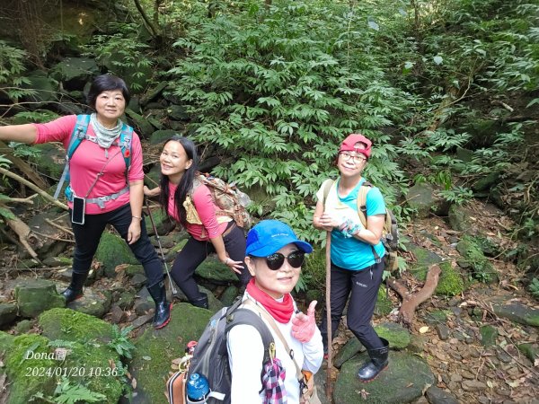 東勢大崙、東勢坑山、觀音湖山O走2986219