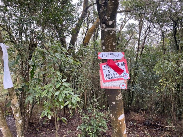 苗栗三義-三員縱走2616454