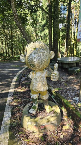 20250730烏來三山下紅河谷2848717