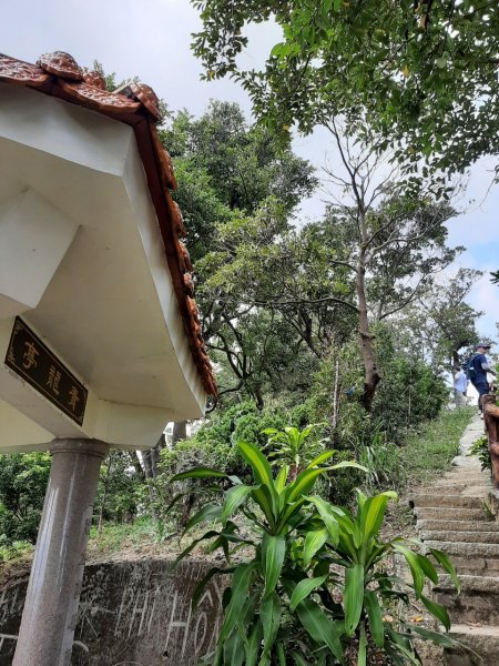 【小百岳集起來】樹林大同山、青龍嶺、大棟山連走鶯歌石步道、孫龍步道1479285