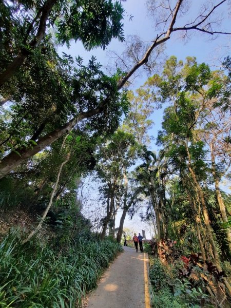 《彰化》田中森林登山步道O型202011221179692