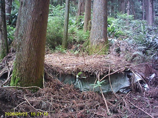 二萬平火車站附近的「屏遮那山」3061540