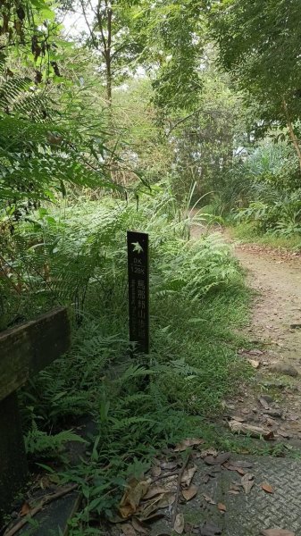 20251004 馬那邦山 - 珠湖 登山口2904798