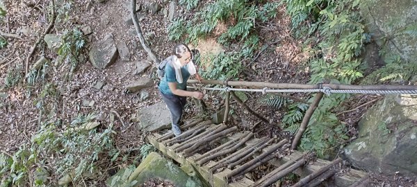 20231125_鳥嘴山步道(上島山)2359185