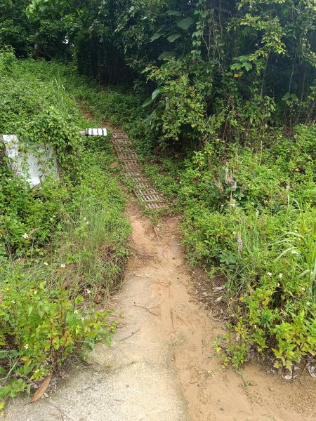 霧峰阿罩霧山2876954