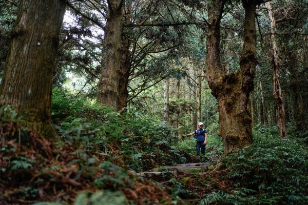 帶媽媽爬長壽山2669504