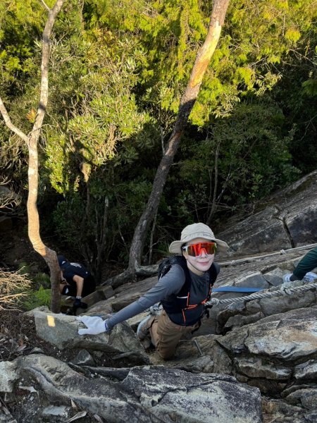 鳶嘴山-稍來山O型縱走(中級山 / 小百岳) 刺激攀岩。山嵐繚繞。傳神小象。杉樹林群。2583539