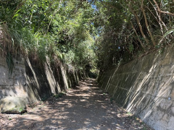 2025_1018 花蓮山步道2921258