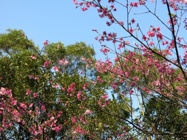 南港山系西段微旅行51058