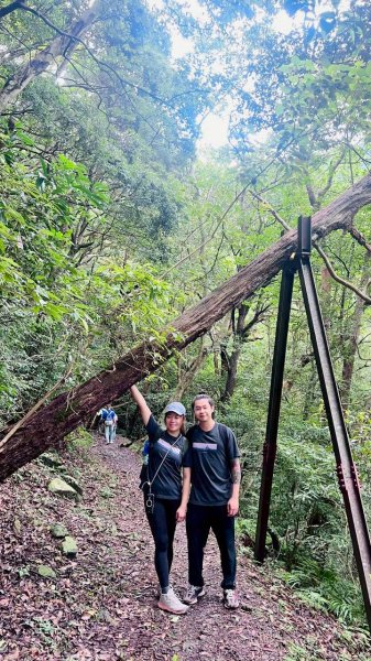 🌈7/5（日）東滿縱走（東眼山~滿月圓）FB：熊熊趴爬走(富裕登山社)🌈3082869