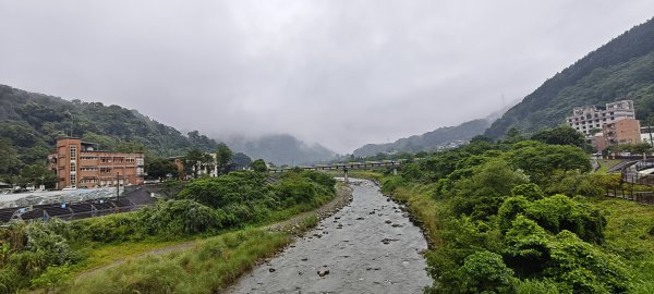 2025/05/25_茶園坪山2796568