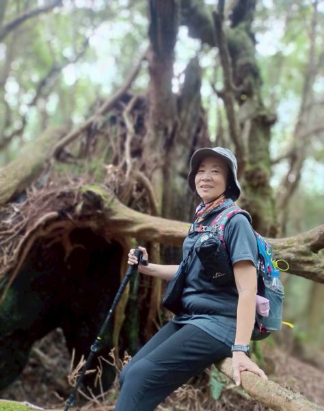 魔幻森林-塔曼山-202508102866560