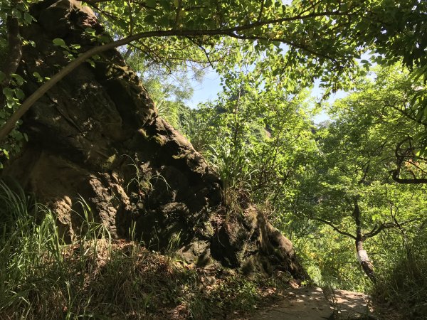 109年6月28日大社觀音山1032774