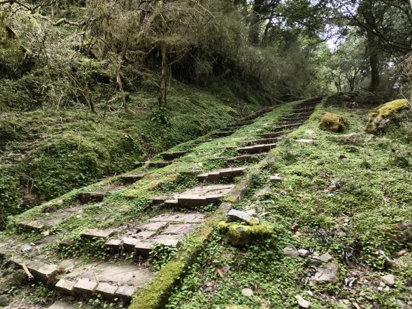 [玉山尋寶任務-08/12] 2025_0824 鹿林山步道_鹿林山2870805