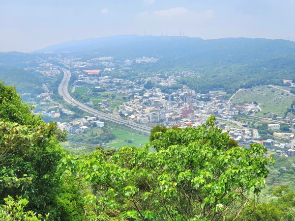 鳶嘴山，醜崠山，長壽山，榛山步道，三員縱走，文林古道，高梘頭山，糖塔山，鐘樓古道1691606