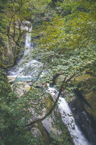 20191004~06-[新竹] 500塊上的大霸尖山1817050