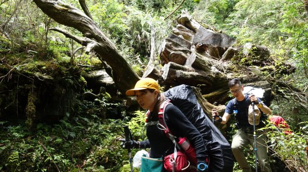 雙龍林道上巒安堂西巒大山1778728
