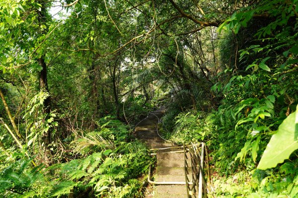 新北 瑞芳 粗坑口尖、碇內尖山、粗坑頭山、龍門山、滴水山2838266