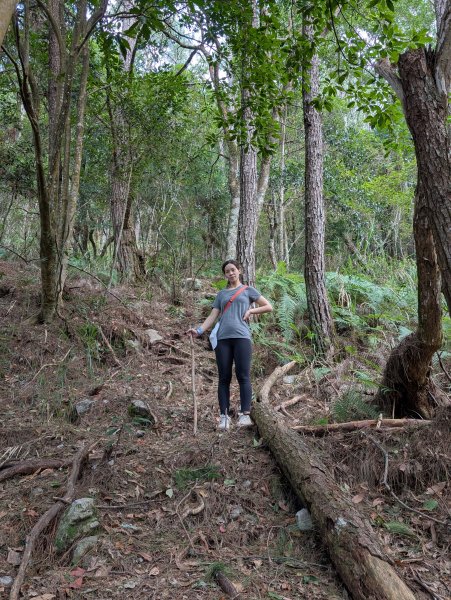 孕婦第一次的谷關七雄馬崙山2991633