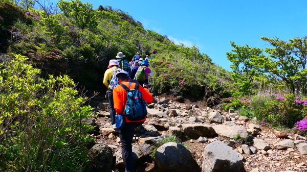 南九州－韓國岳,白鳥山3063936