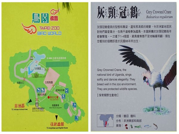 台北市動物園之旅1498041