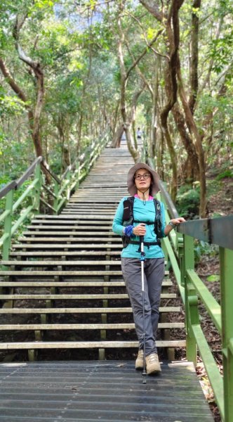 大崙頭尾山2992017