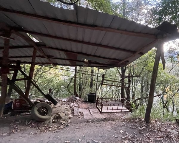 逆走雪劍💙淒風苦雨賞雪❄️+🎂⛰️旅2967703