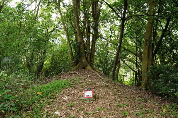 臺北 文山 指南山、猴山岳、魚衡山、大前坑山、猴山坑山、祥光寺後山、金頭山2775009