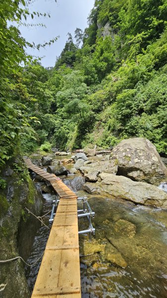 240814-白神山地世界自然遺產地域。美美兔不能錯過的日本東北健行路線。2603911