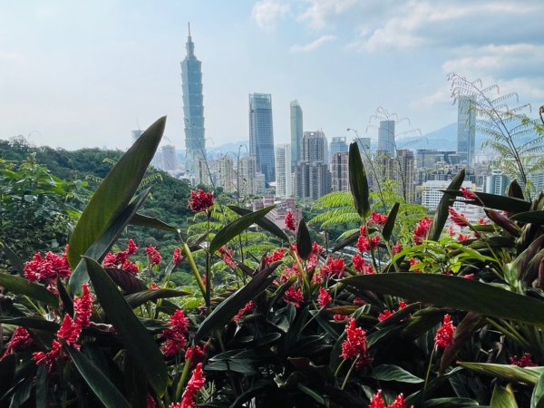 1140513象山峰-永春崗平台O繞2785598