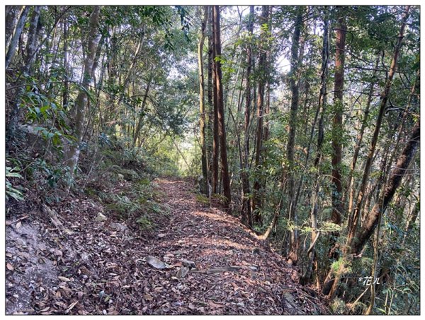 巴幸山、打鐵坑山、稍來坑山、和平14基石連走3018111