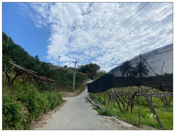 頂埔山 新路線 ( 東勢 )3039567