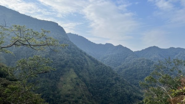 裡冷林道上八仙山標準路線2051829