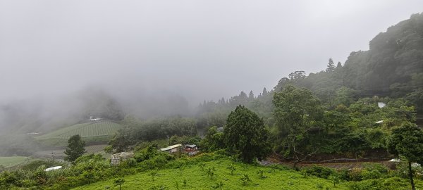 2025/05/11-丸田砲台遺址步道2784545