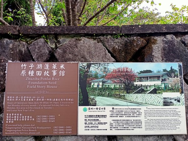 【發現陽明山】頂北投→陽峰古道→陽明山花鐘→陽明書屋→紫明溪步道→竹子湖海芋季2463817