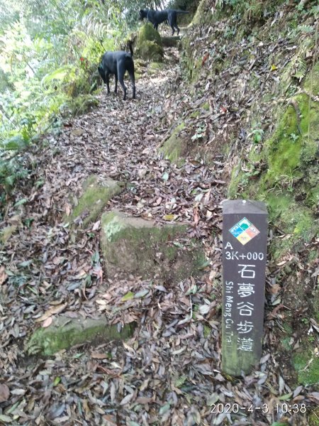 步道巡訪員│石夢谷步道3月巡訪日誌902228