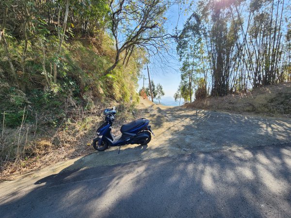 20250114石井山、榴子坑山、後脊山、龍頂山2728595