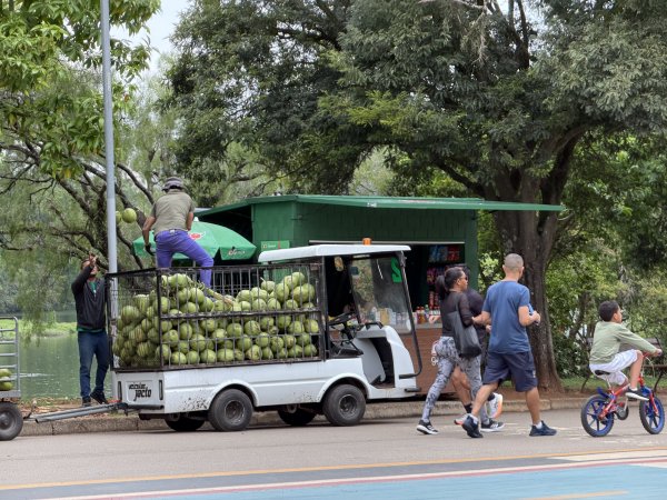 [紐約馬之行-68] 2025_1116 伊比拉布埃拉公園-中2955115