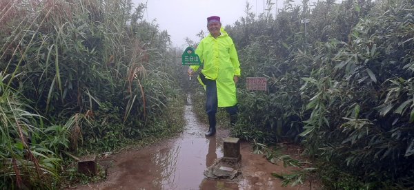 小百岳:五分山1519249