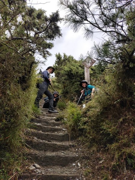 ⛰️南橫三星✨關山嶺山🌲🌲🌲漫漫行😆😆😆1716994