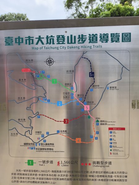[百山百鳥尋旅-08/15] 2025_0831 大坑1號步道2876169
