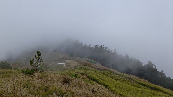 雪山西稜3135052