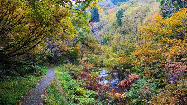 山形縣銀山溫泉2929654