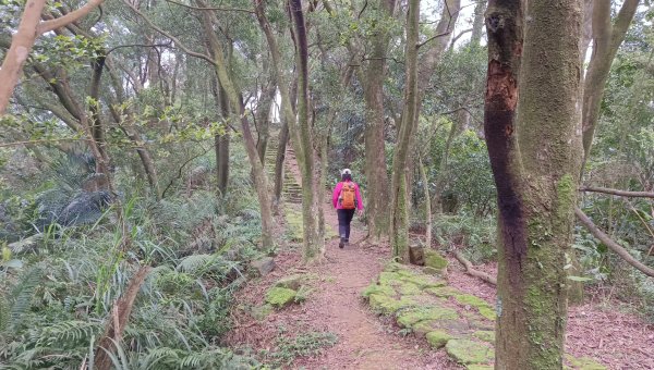 (姨婆趴趴走)第四十七集:新北土城大暖坑山等諸峰攀登連走2738762