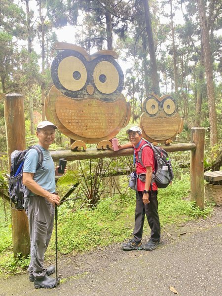 溪頭散步悠遊    2024.5.202517697