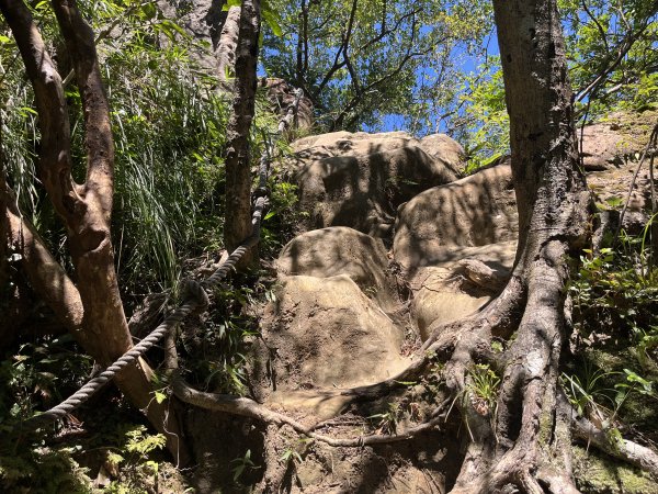 [微笑山線_第九段] 2025_0914 二格山系_天王峰2889544